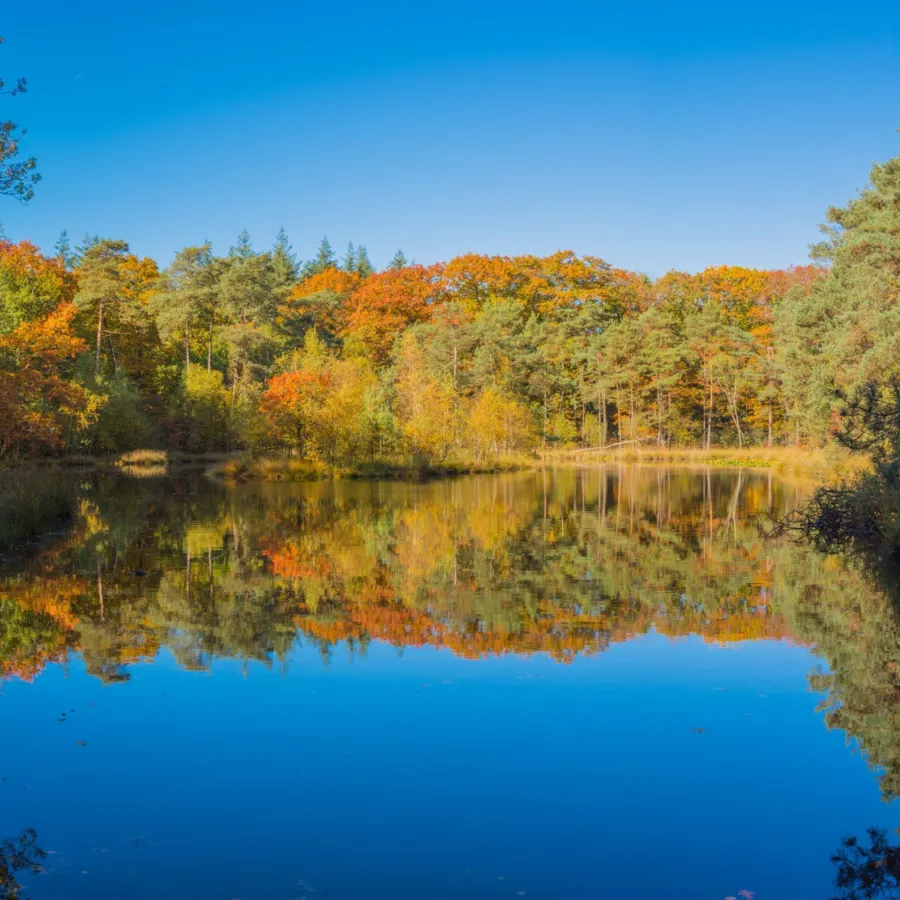 Herfstvakantie Bugalowpark Veluwe Samoza 5