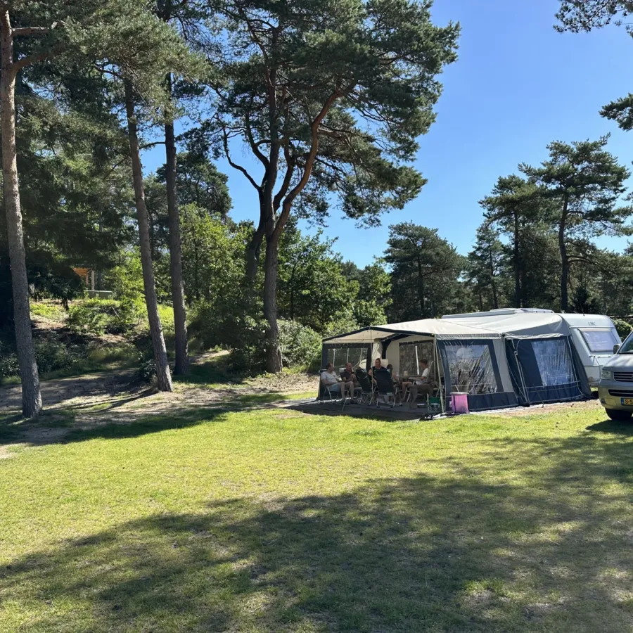 Camping Veluwe kamperen XXL Ekster 71